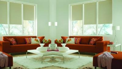 Rèm cửa cuốn 02